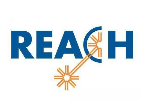 REACH法规更新，汽车电子企业需要重新检测吗？